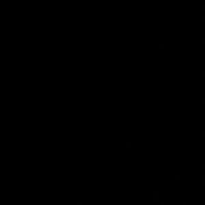 Meet your Posher, Elena